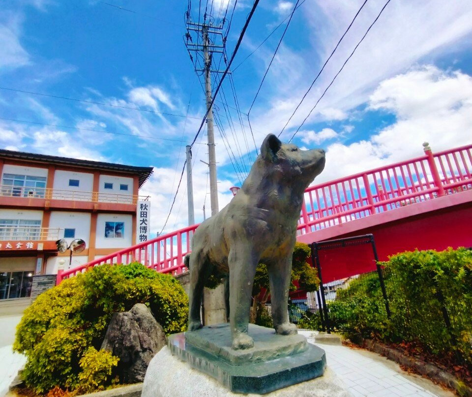 Akitainu Hall-大馆市必去景点