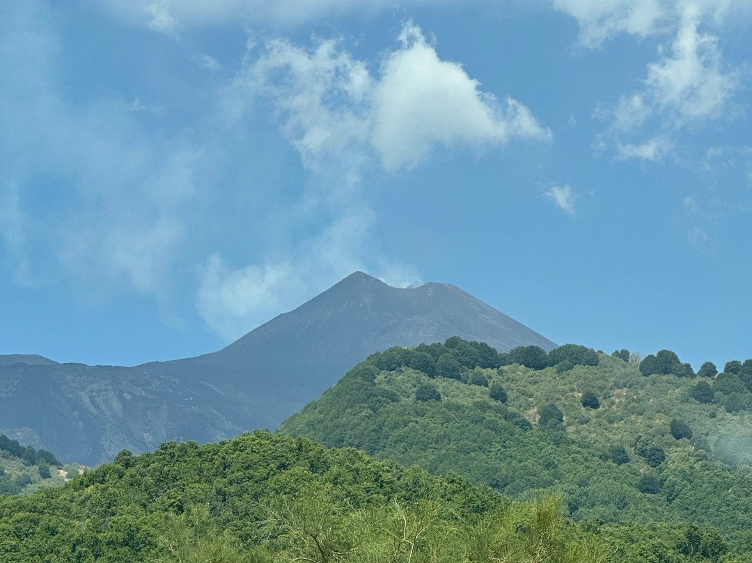 Etna Guided Tours景点图片