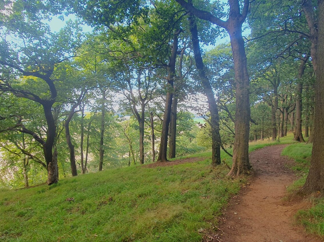 Letham Hill Wood-Inverkeithing必去景点