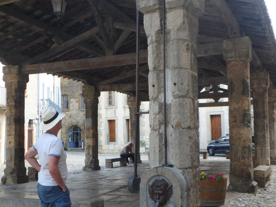 Halles De Lagrasse景点图片