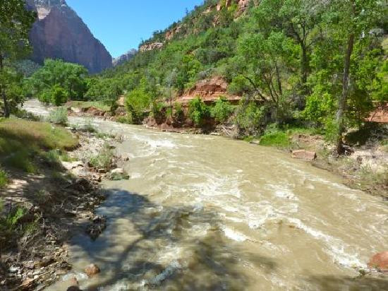 Emerald Pools-锡安国家公园必去景点