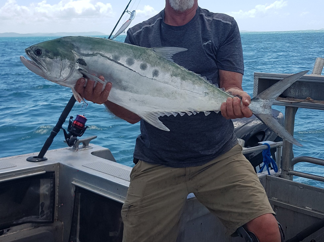 Cape York Adventures-Seisia必去景点