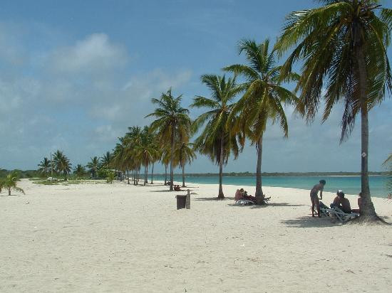 Coco Beach景点图片