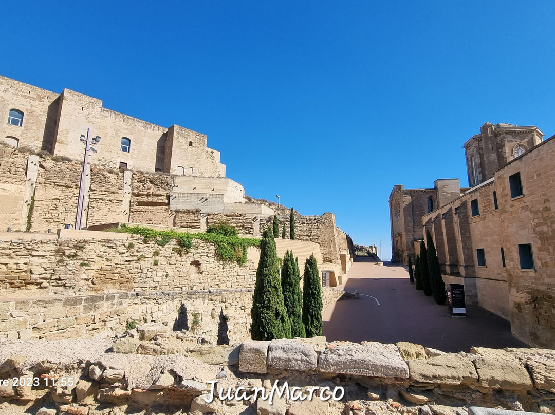 La Catedral Vieja景点图片
