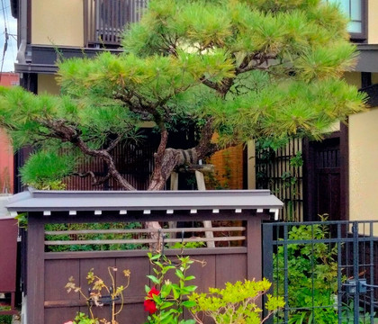 高山乡村酒店主图