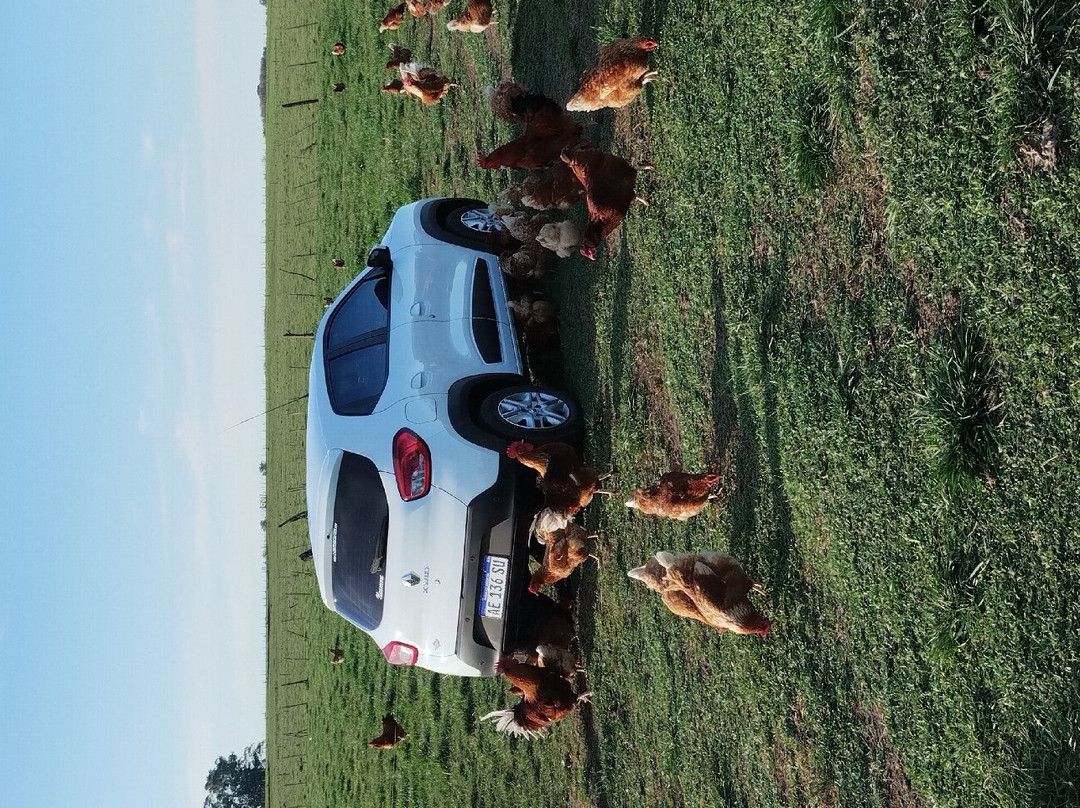 Estancia Arroyo de Luna主图