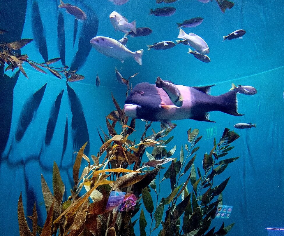 Point Defiance Zoo & Aquarium景点图片
