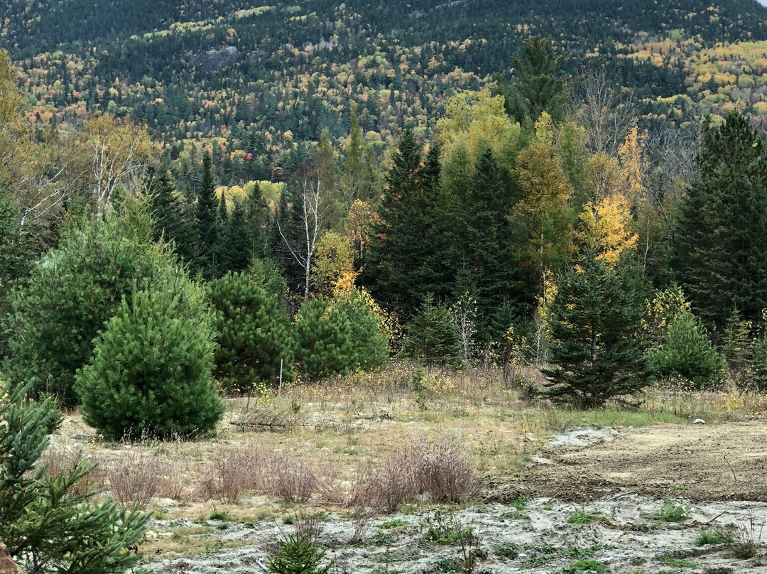 Auberge du Grand Lac主图