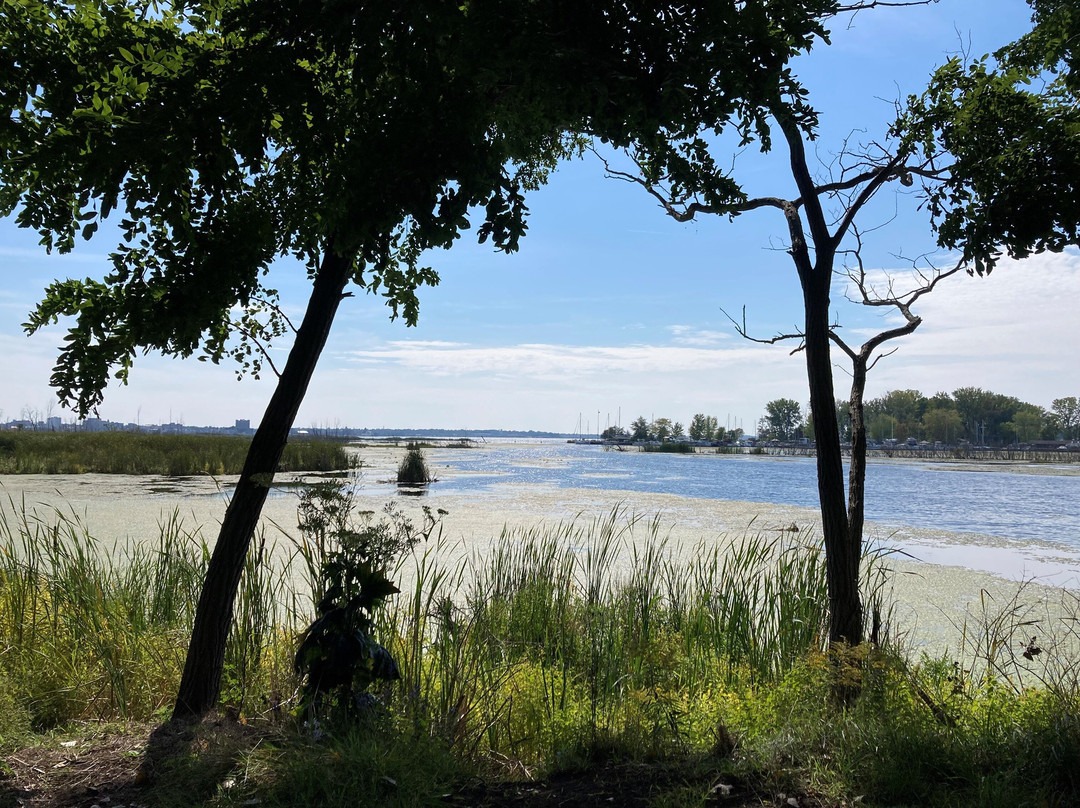 Muskegon Lake Nature Preserve景点图片