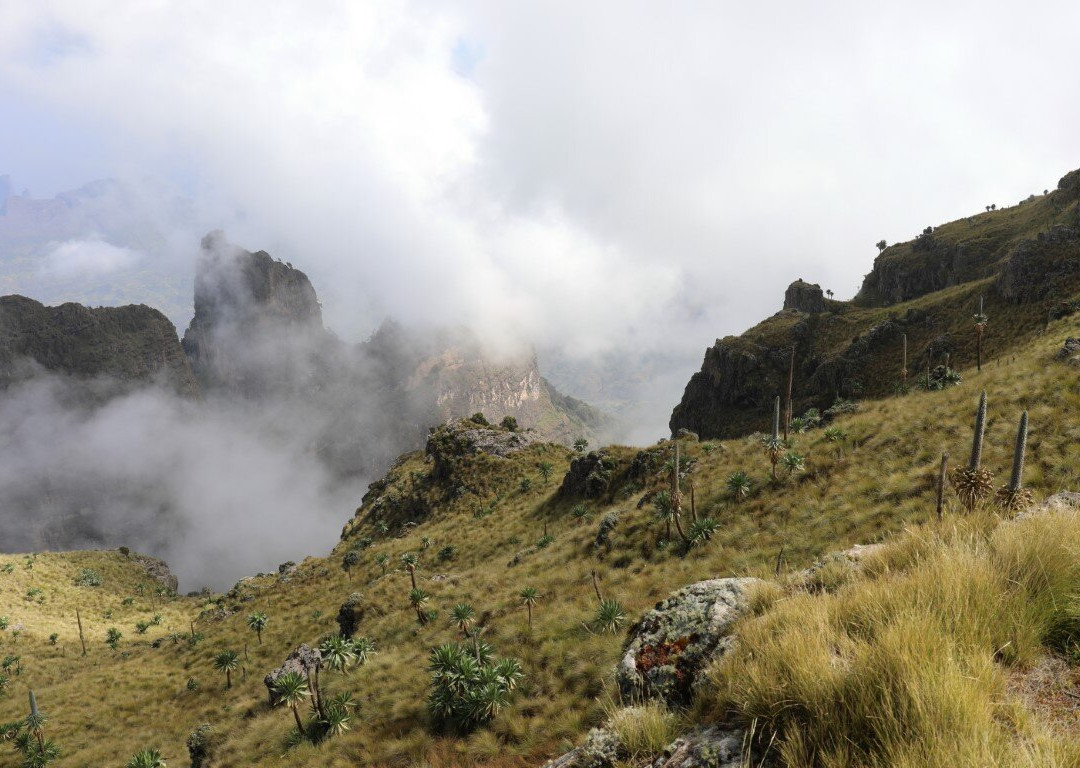 Timeless Ethiopia Touring-亚的斯亚贝巴必去景点