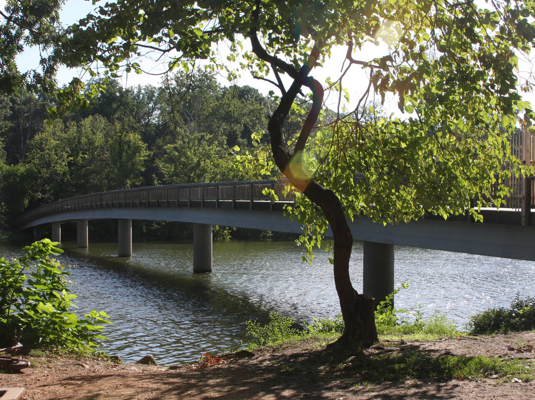 Theodore Roosevelt Island Park景点图片