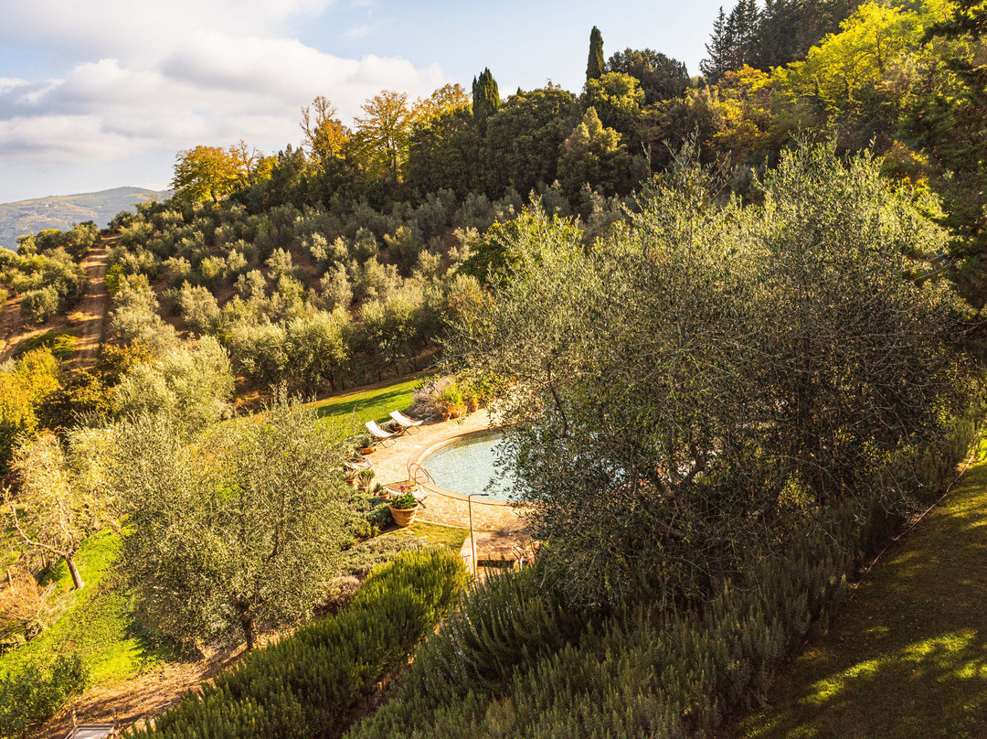 La Pensione di Vignamaggio主图