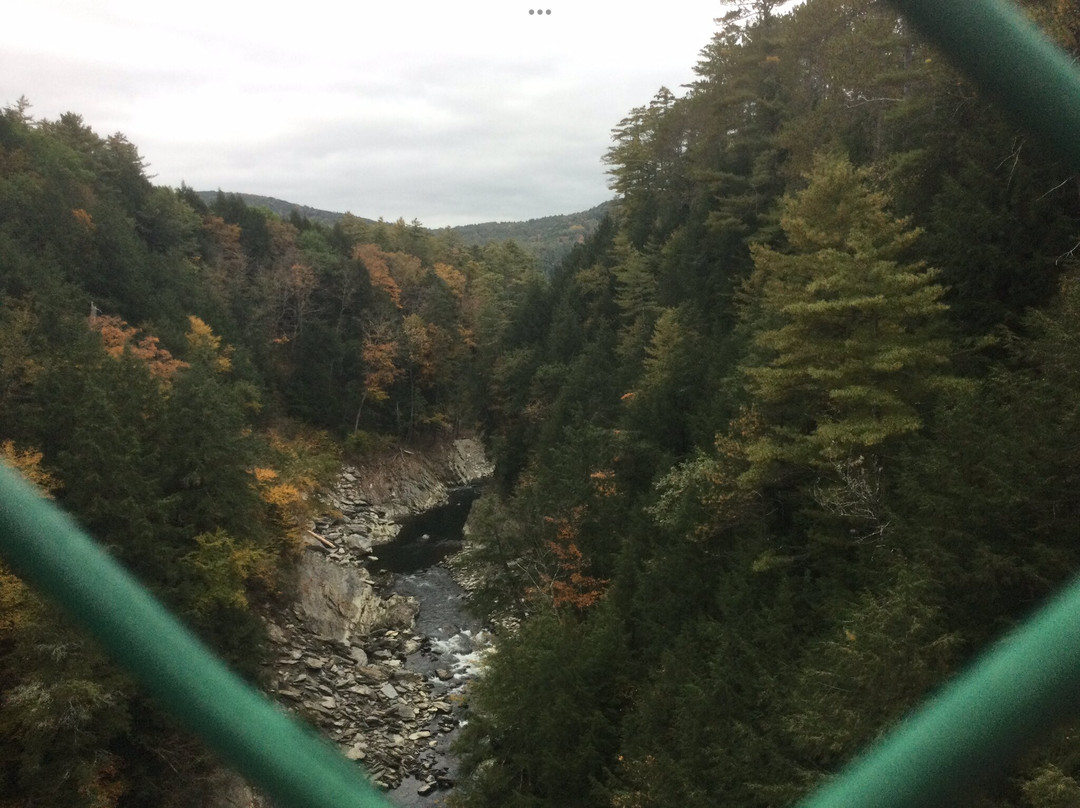 Quechee General Store-伍德斯托克必去景点