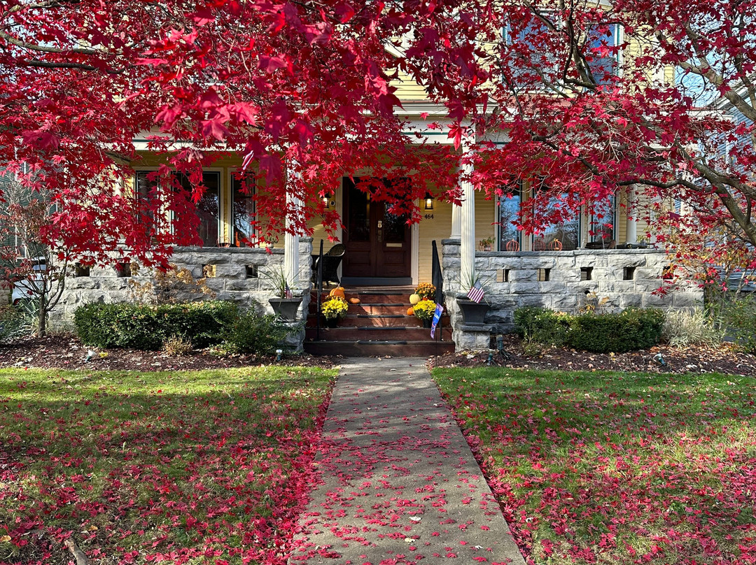 The Parkside House主图