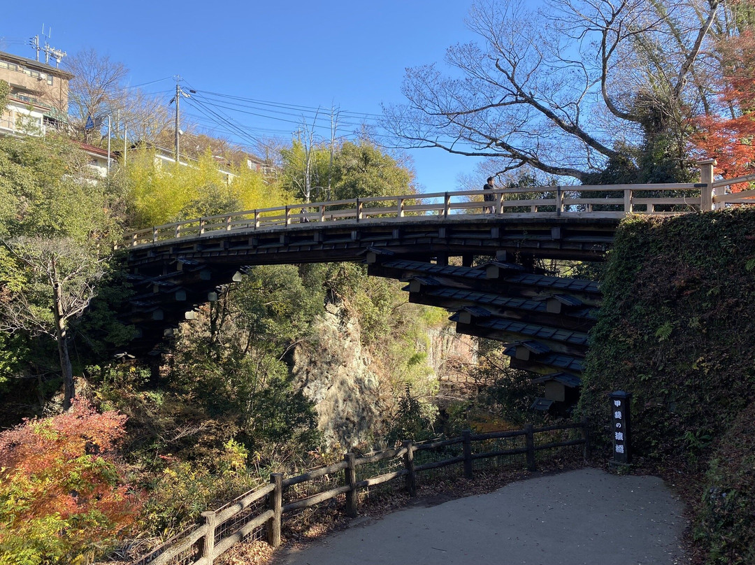 Saru Bridge景点图片