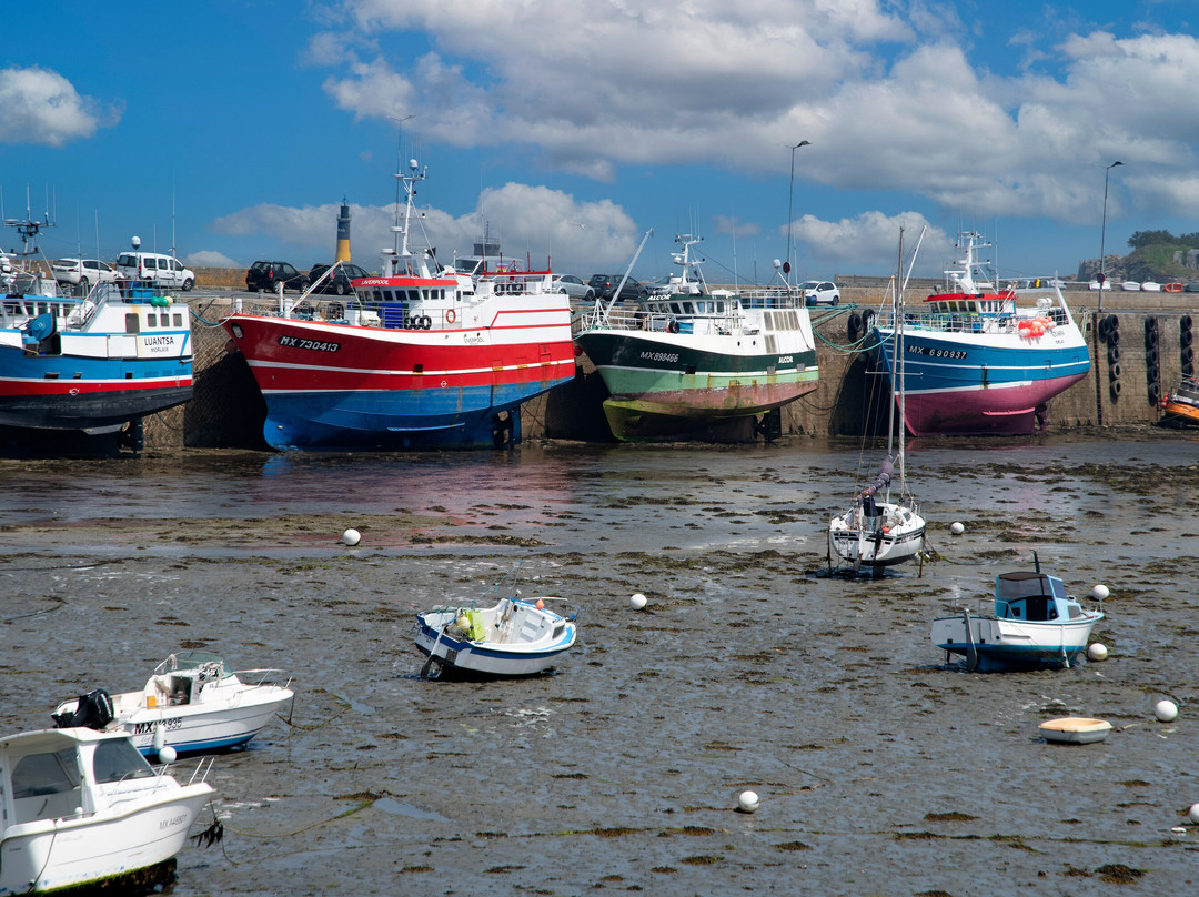 Port de Roscoff