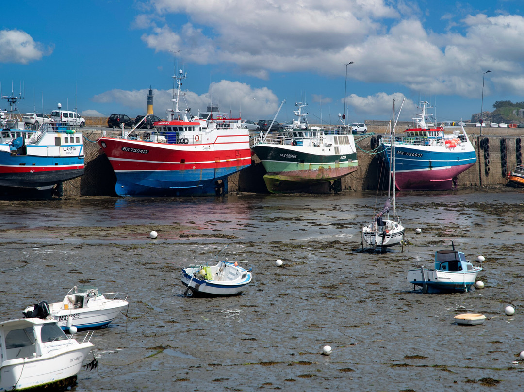 Port de Roscoff景点图片