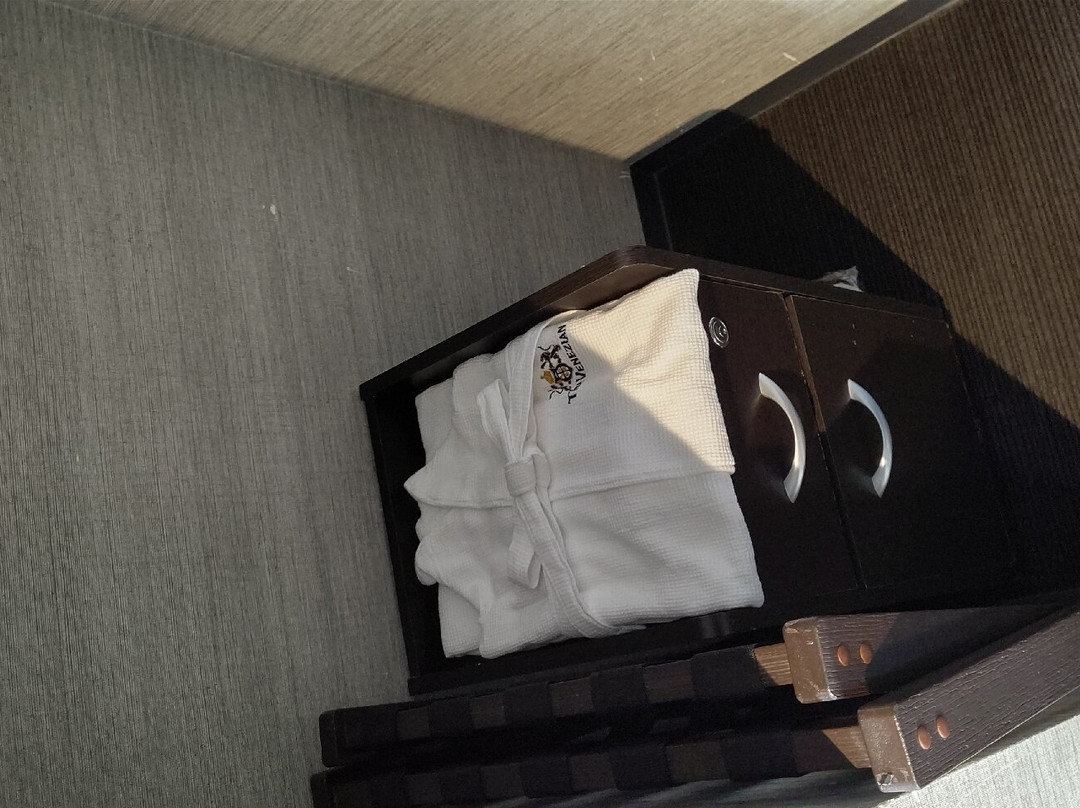 Venezian Hotel Shiroishi Zao主图