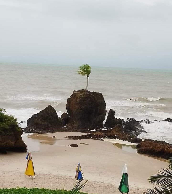 Itapuama Beach景点图片