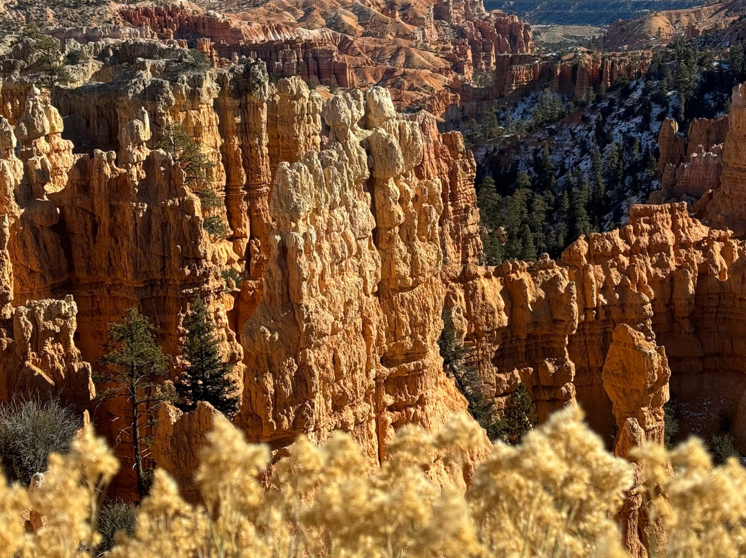 Fairyland Loop-布莱斯峡谷国家公园必去景点