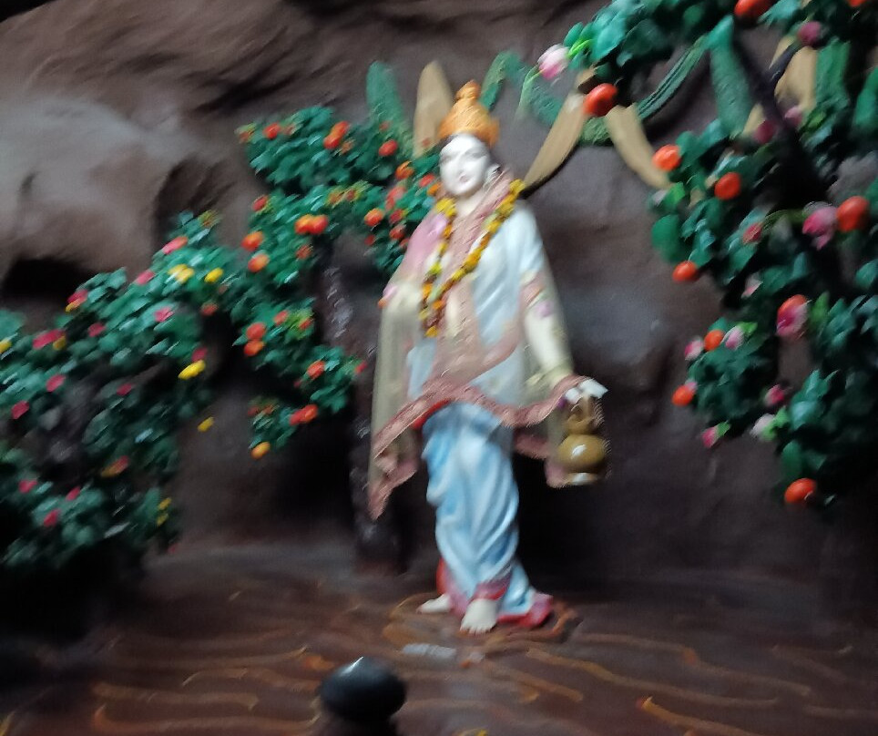 Maa Vaishno Devi Dham景点图片