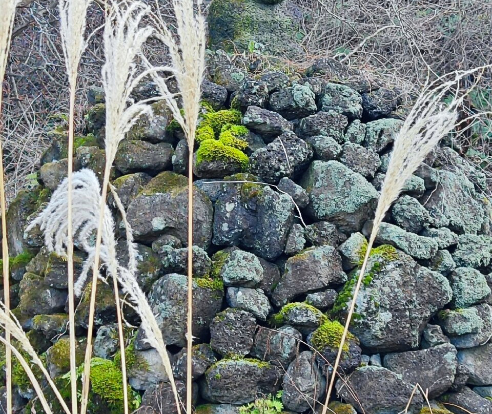 济州石头文化公园景点图片