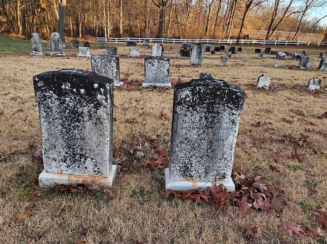 Broad Creek Cemetery-Street必去景点
