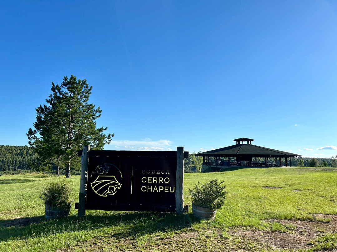 Bodega Cerro Chapeu-Rivera必去景点