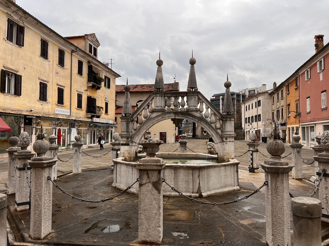 Da Ponte Fountain景点图片