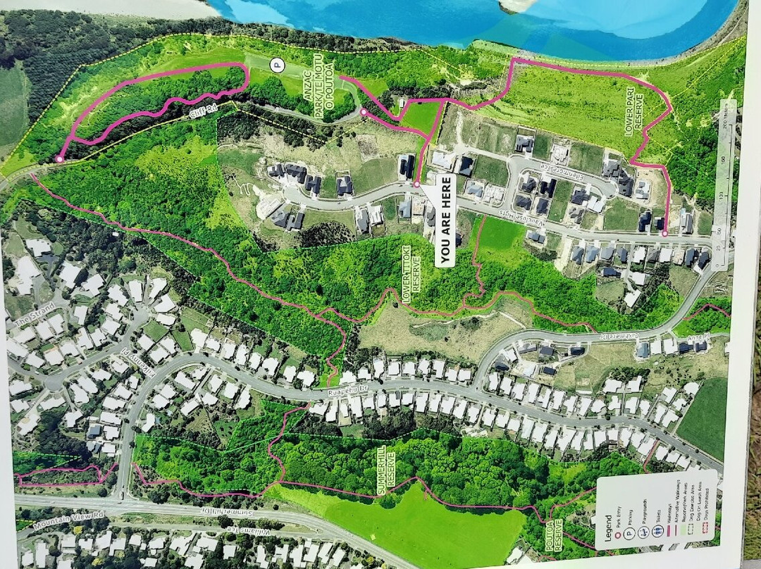 Te Arapiki a Tane-北帕墨斯顿必去景点