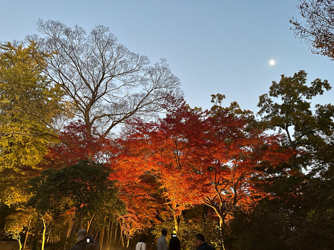 Suzumenomiya Park-寄居町必去景点