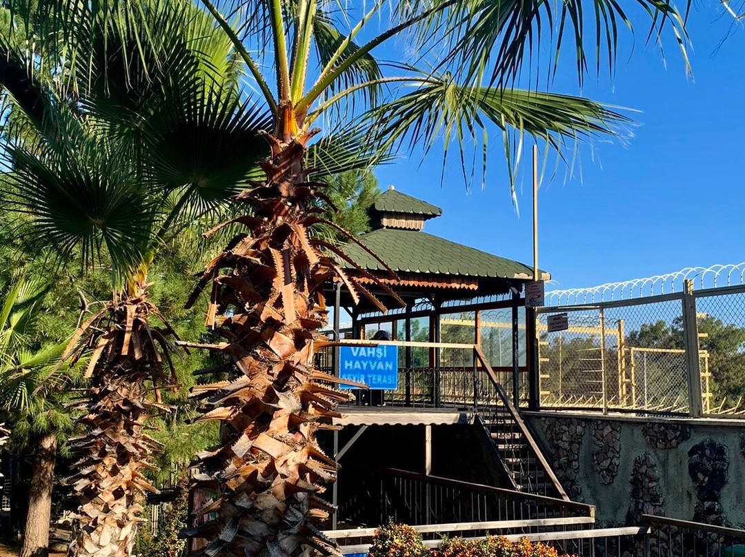 Antalya Hayvanat Bahçesi景点图片