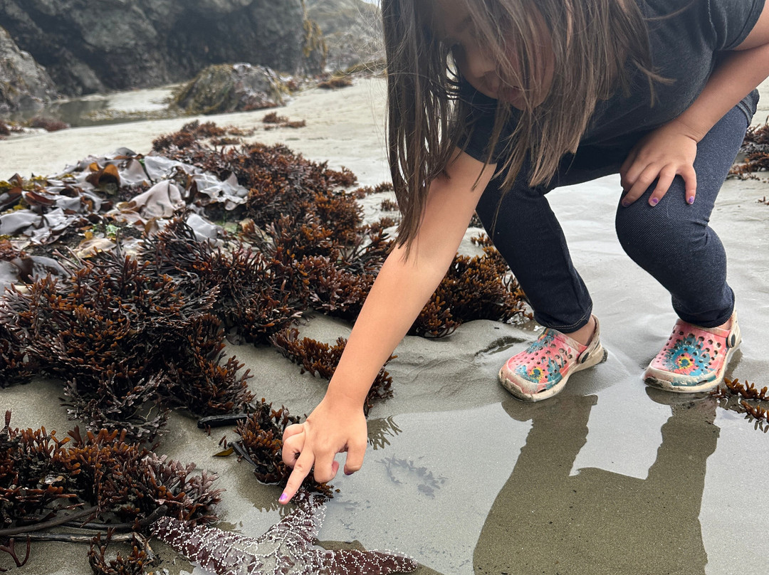 Bandon State Park-班登必去景点