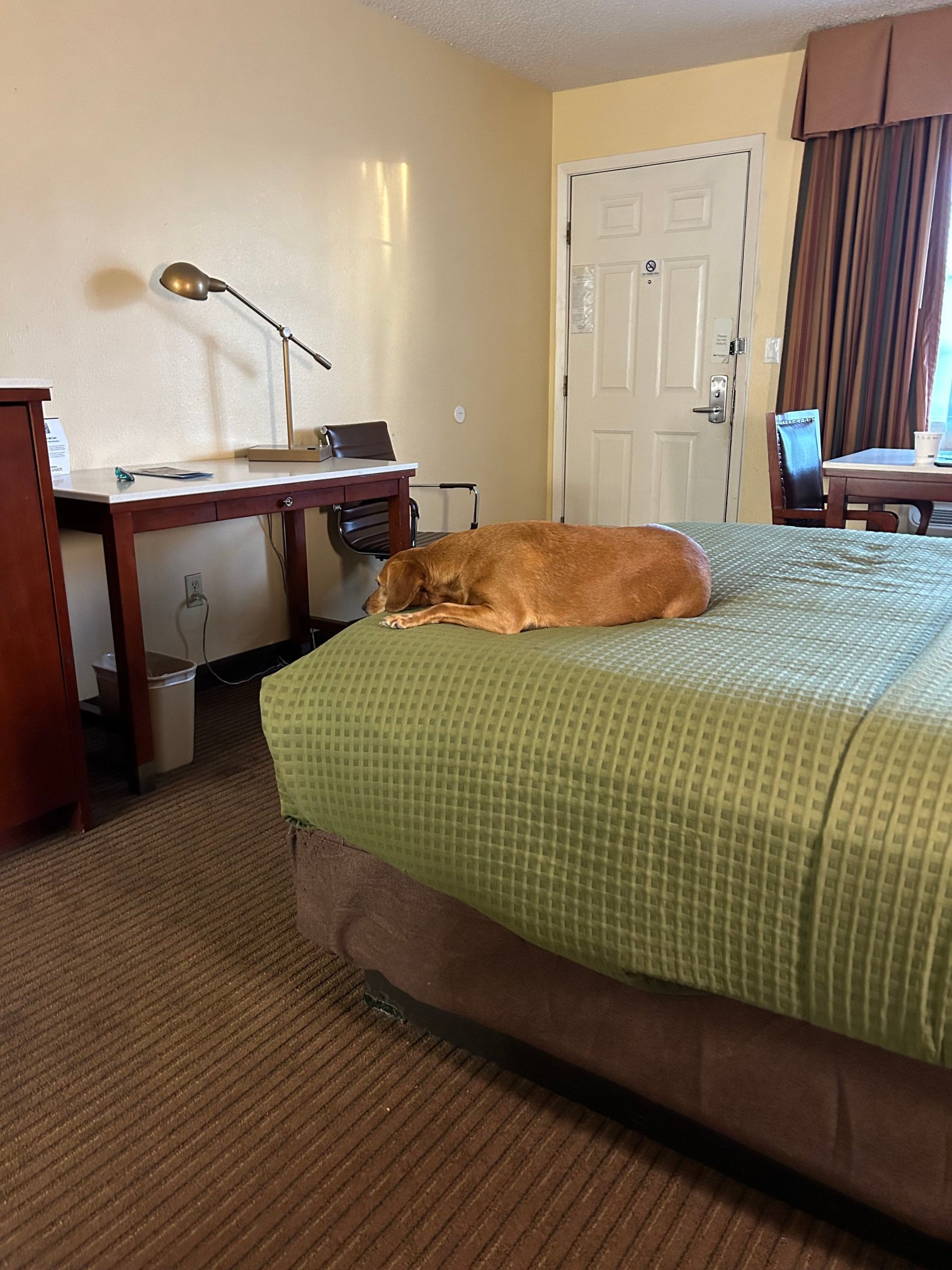 Best Western Llano-官方