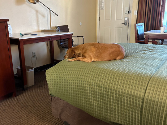 Best Western Llano主图