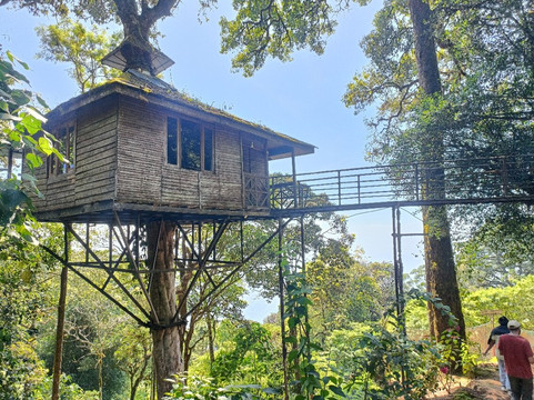 Munnar Valley Trekking & Tours-慕那尔必去景点