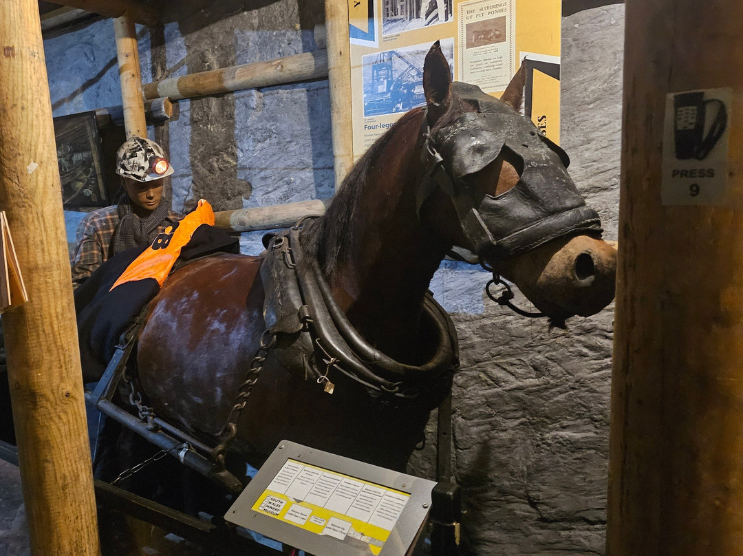 South Wales Miners' Museum景点图片
