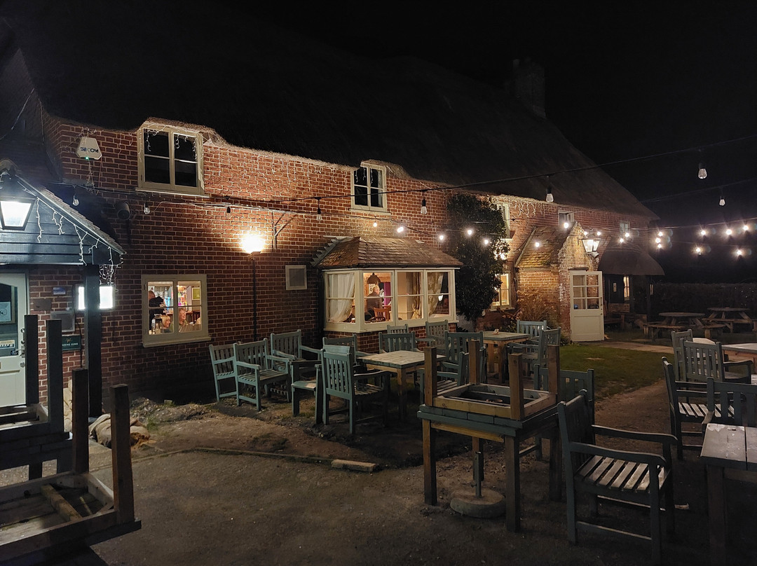 The Elm Tree
