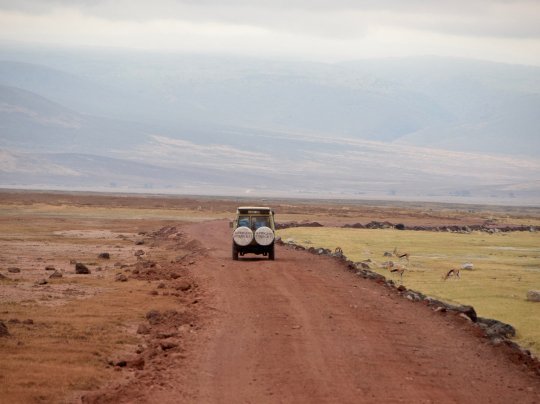 Tour with Kunta-阿鲁沙必去景点