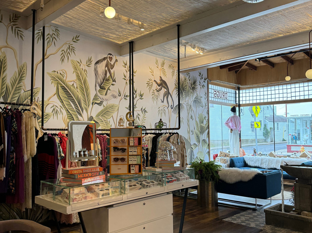 American Beech主图