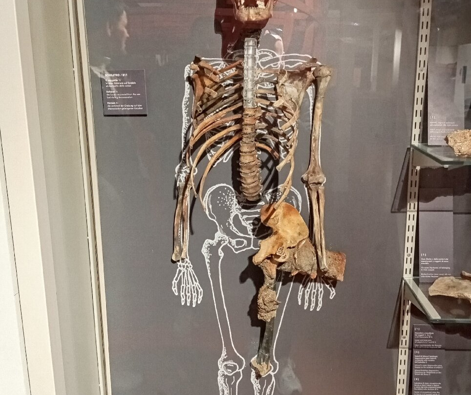 Museo Nazionale di Archeologia del Mare-卡奥莱必去景点