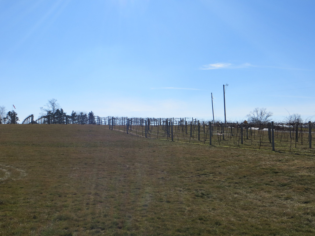 Acres Away Winery景点图片