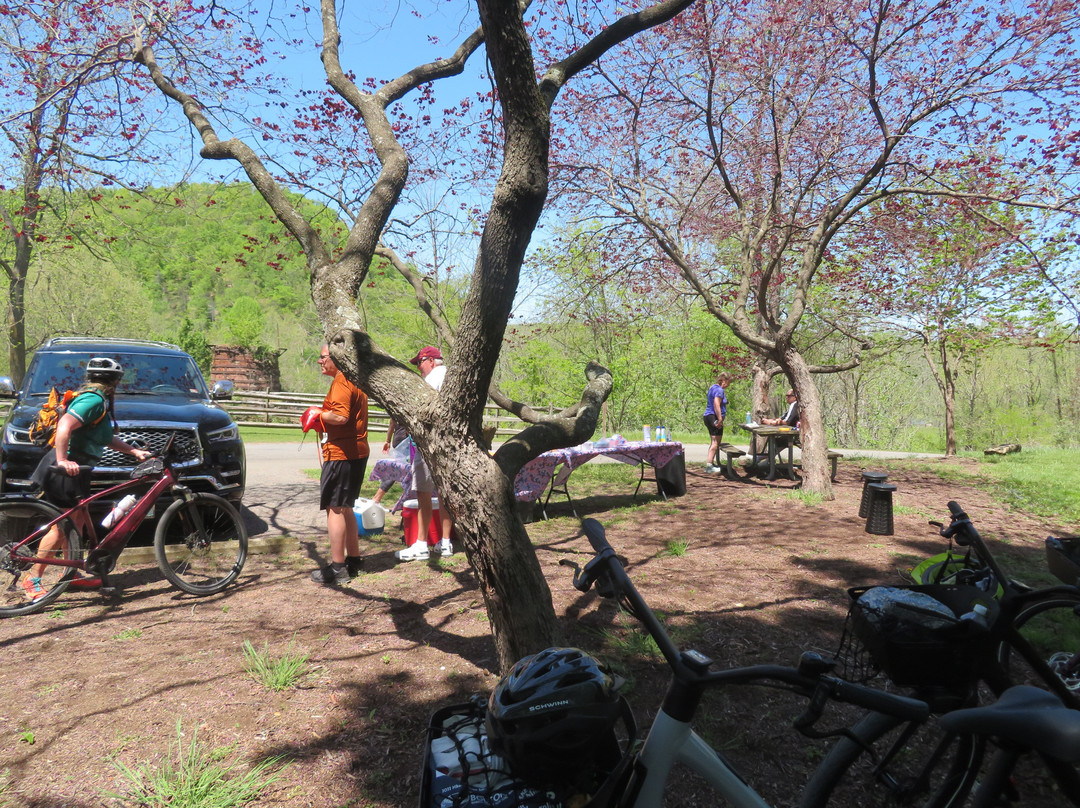 Magical Mystery Bike Tours, LLC-罗阿诺克必去景点