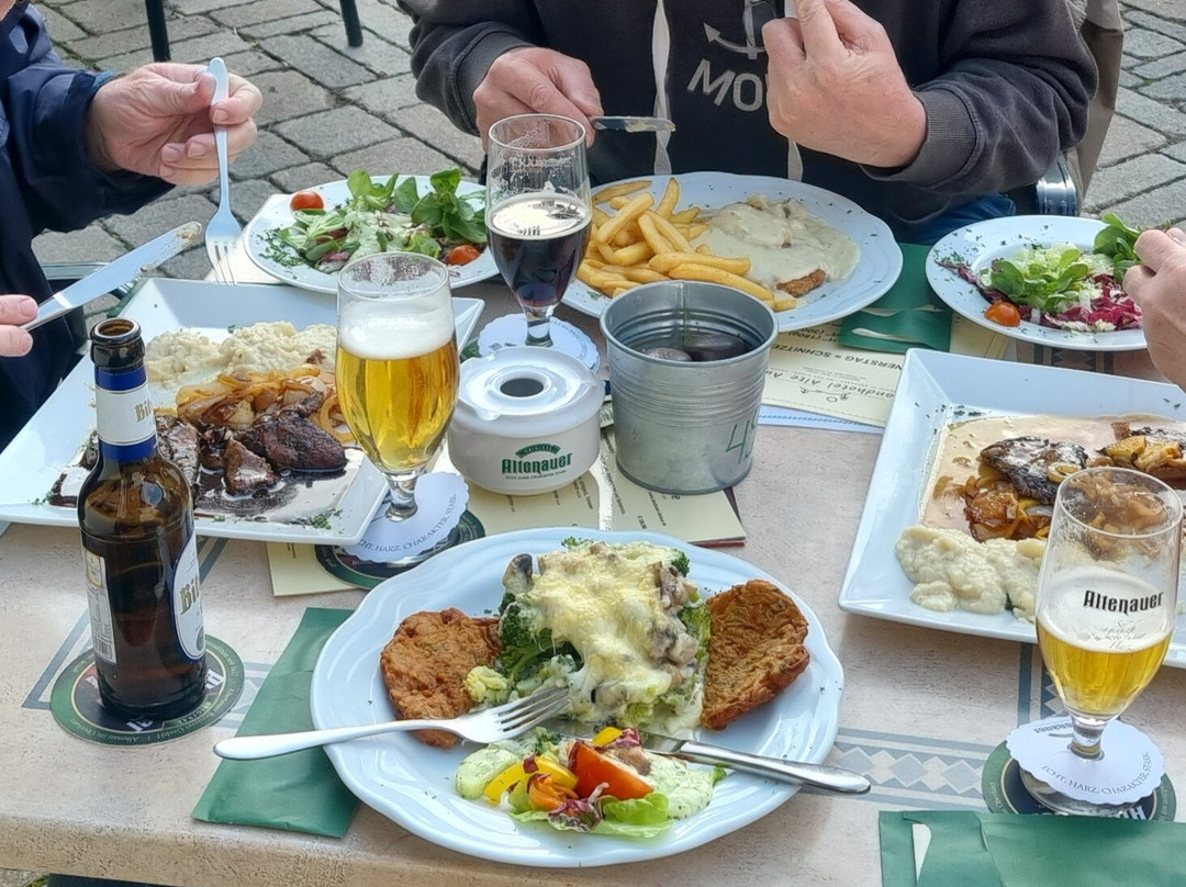 Landhotel Alte Aue主图