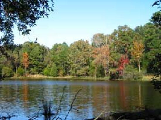 Winnsboro酒店住宿-Pine Grove Cottages