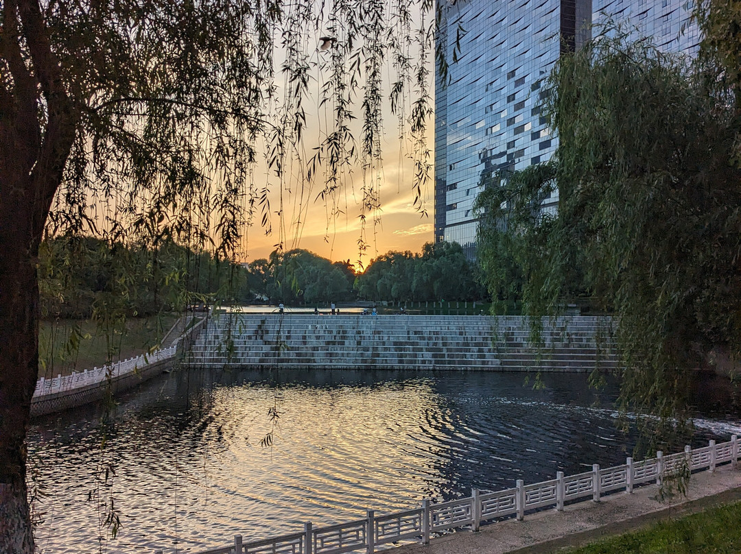 合肥天鹅湖景点图片