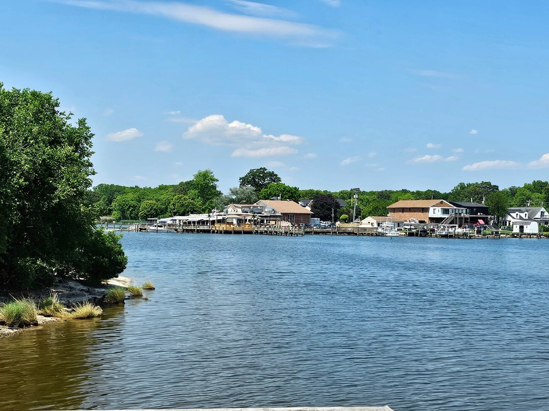 Cox Point Park-Essex必去景点