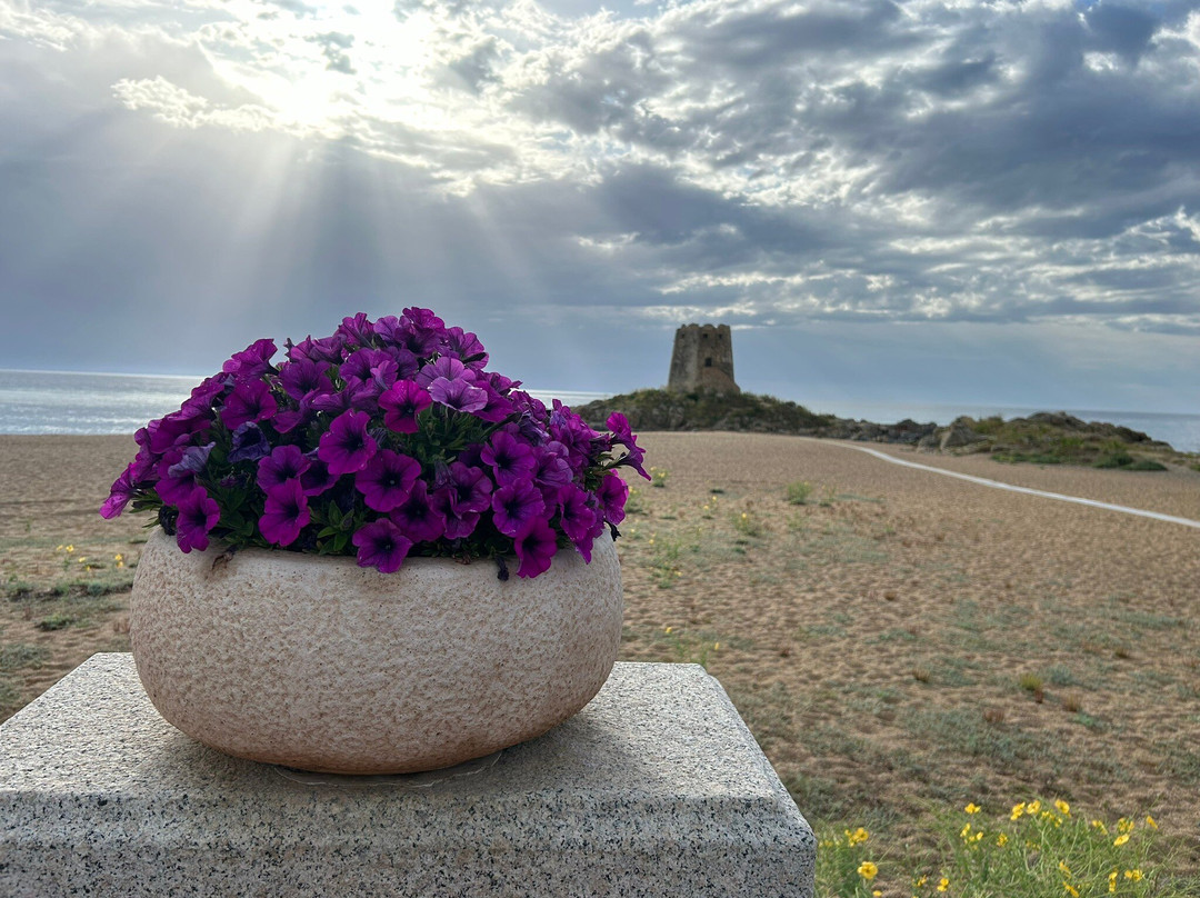 Torre di Bari-Torre di Bari必去景点