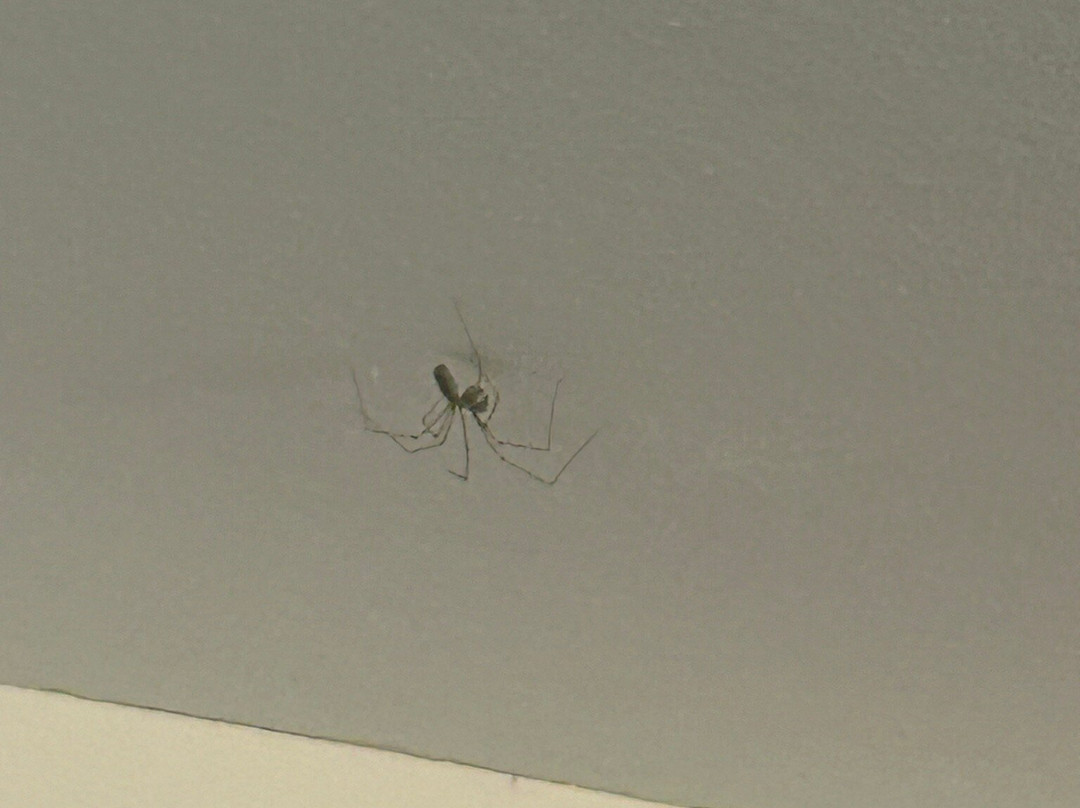 Berghof Mitterberg主图