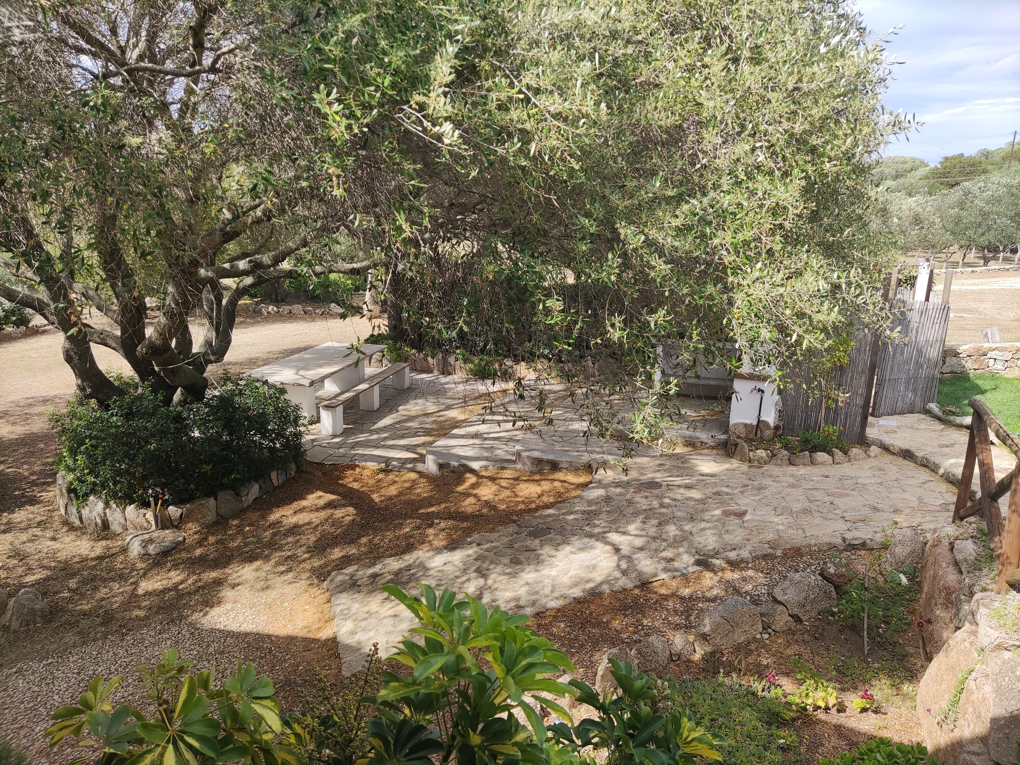Bed and Breakfast Domo SaPe-官方